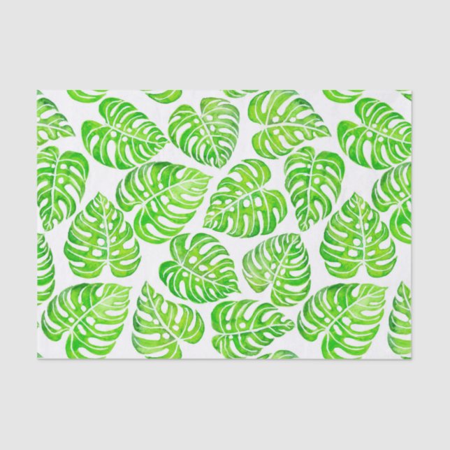 Papel De Seda Monstera deixa aquarela (Frente )