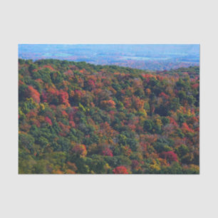 Papel De Seda Montanhas Appalachian em queda
