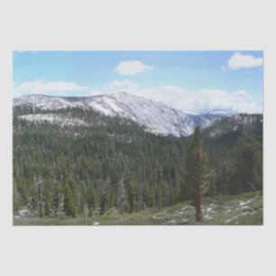Papel De Seda Montanhas Sierra Nevada II vistas de Yosemite
