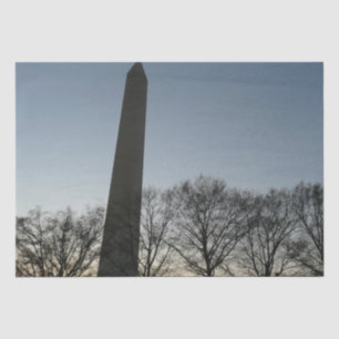 Papel De Seda Monumento a Washington no inverno II
