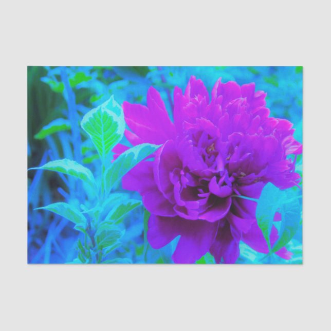 Papel De Seda Moody Purple Peony com Linda Folhagem Weigela (Frente )