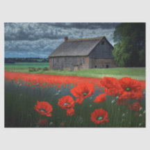 Moody Weather Barn e Poppies