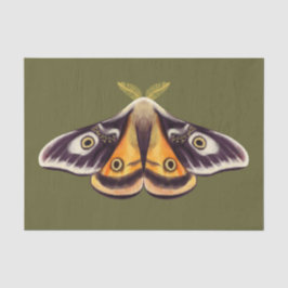 Papel De Seda Moth Insect Art Goblincore Saturnia Witchy Green