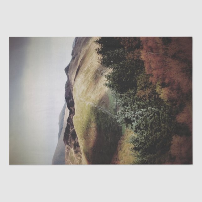 PAPEL DE SEDA MOUNTAIN VIEWS OF WALES (Frente )