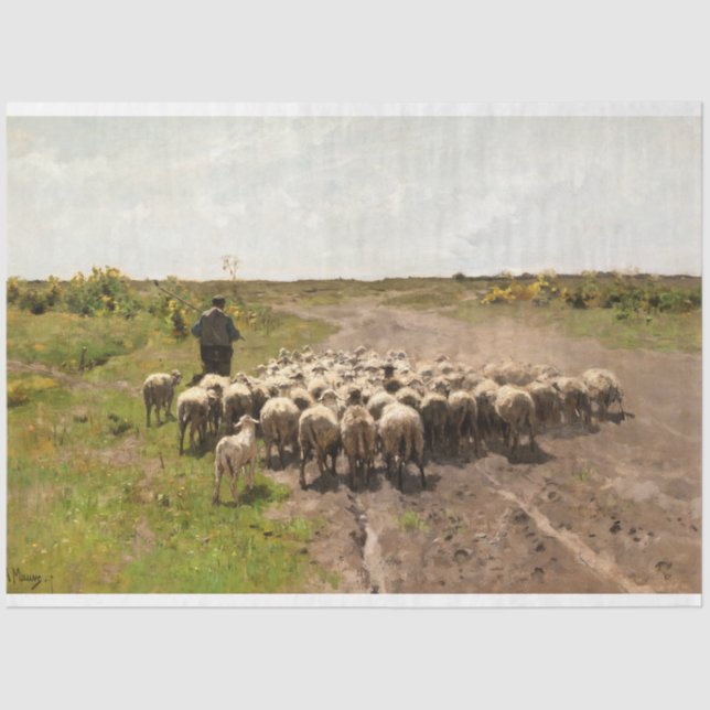 Papel De Seda Mudando Pastura, 1887 por Anton Mauve (Frente )