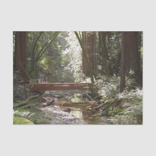 Papel De Seda Muir Woods Ponte II (Frente )