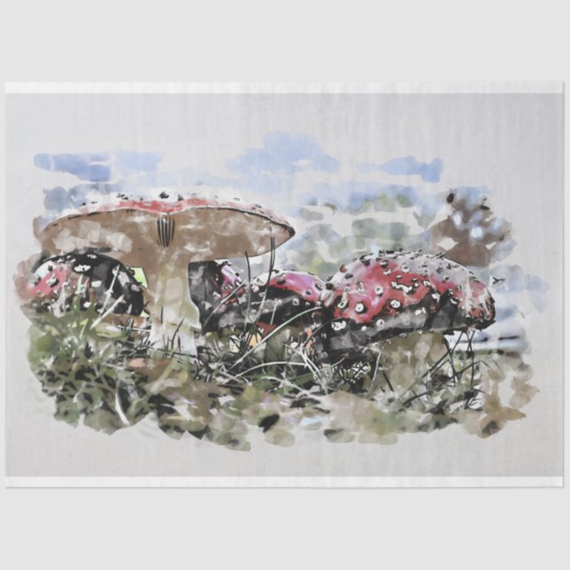 Papel De Seda Mushroom Toadstool Decoupage Aquarela  (Frente )