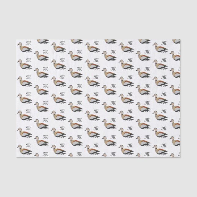 Papel De Seda Nadação Adorável de Pato Teal Anelado (Frente )