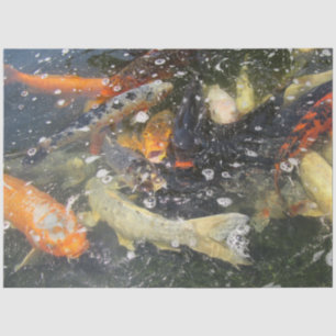 Papel De Seda Nadação de Peixes Koi Japoneses