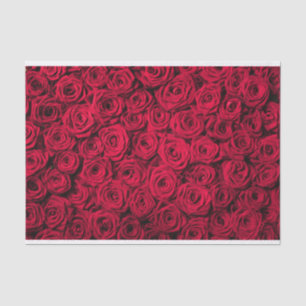 Papel De Seda Namorados das rosas vermelhas