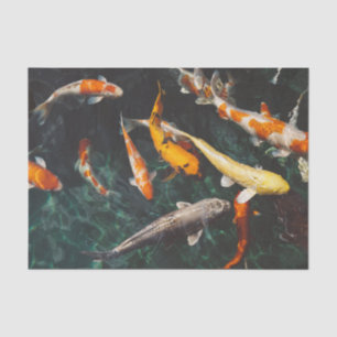 Papel De Seda natação chinesa de peixe na água
