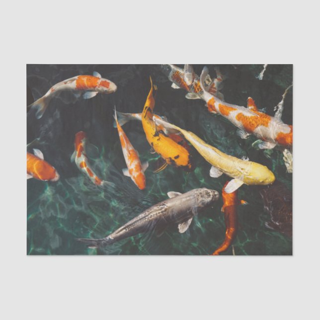 Papel De Seda natação chinesa de peixe na água (Frente )