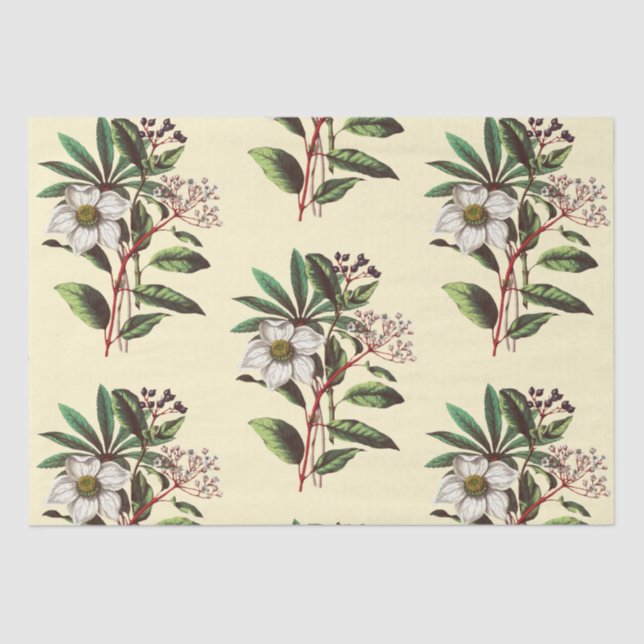 Papel De Seda Natais vintages Elegantes Rosas Beige (Frente )