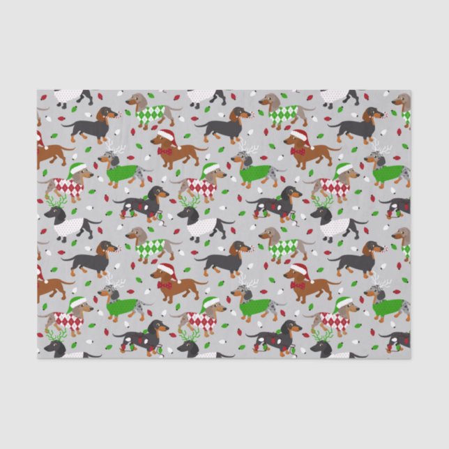 Papel De Seda Natal Dachshund Todos os Casacos (Frente )