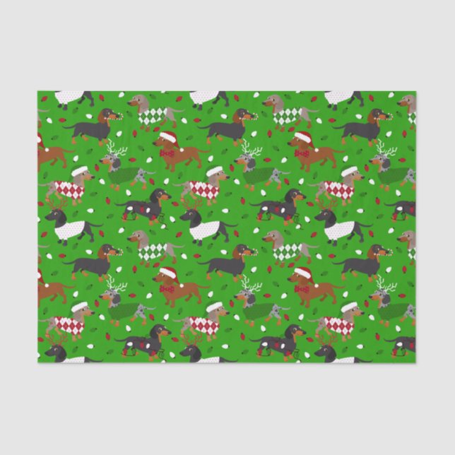 Papel De Seda Natal Dachshund Todos os Casacos (Frente )