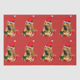 Papel De Seda Natal de Bloodhound