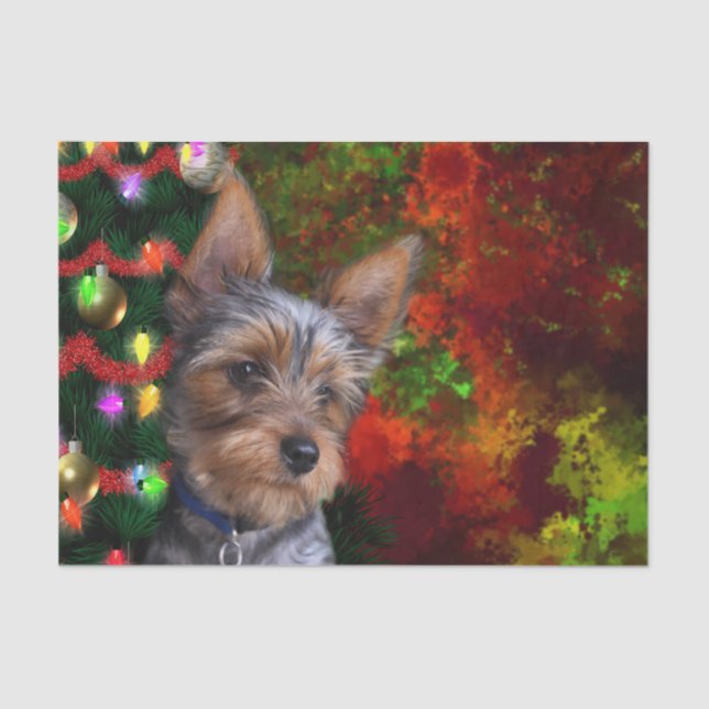 Papel De Seda Natal de Yorkie (Frente )