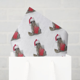 Papel De Seda Natal do Bandido Guaxinim Santa
