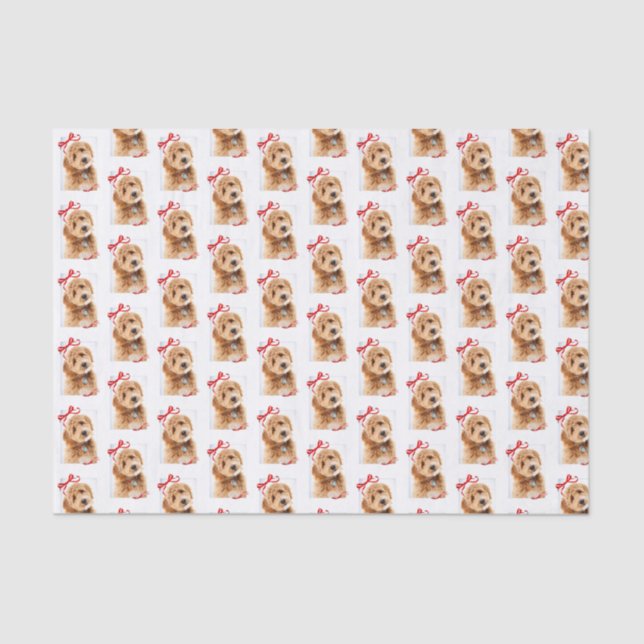 Papel De Seda Natal do Cachorro (Frente )