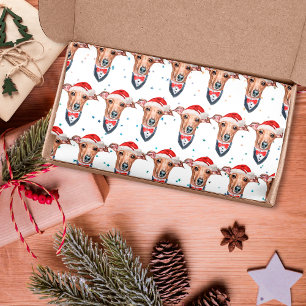 Papel De Seda Natal do Cão da Raça Galgo Italiano