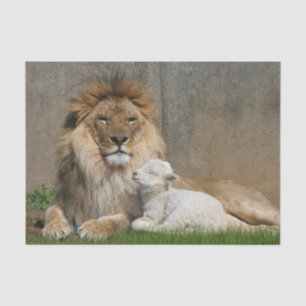 Papel De Seda Natal do leão e do cordeiro