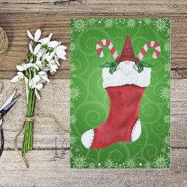 Papel De Seda Natal Gnomo White Beard Hat em Palco Verde