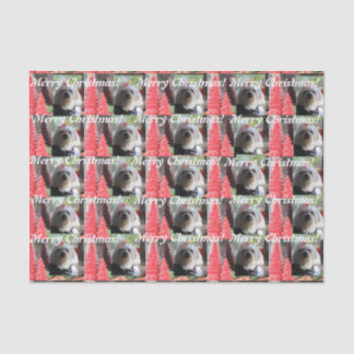 Papel De Seda Natal maltês com árvores vermelhas