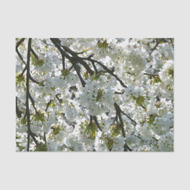 Papel De Seda Nature Inspirations Cherry Blossoms (Frente )