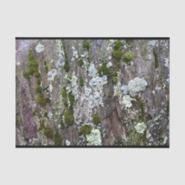 Papel De Seda Nature Moss Lichen Camouflage Foto