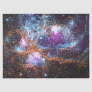 Papel De Seda Nebulosa de lagosta