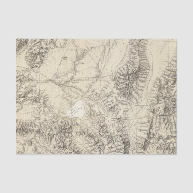 Papel De Seda Nevada ocidental (Frente )