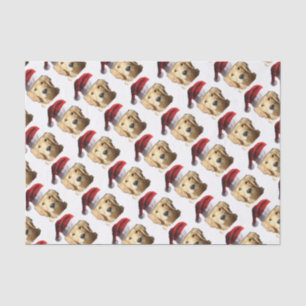 PAPEL DE SEDA NICKEL-WITH-A-HAT-3