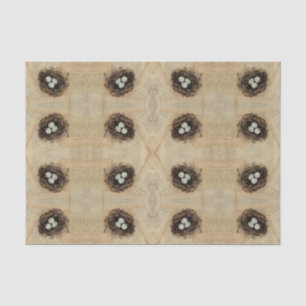 Papel De Seda Ninho de Pássaro Ovos Marrons Antigos Vintage