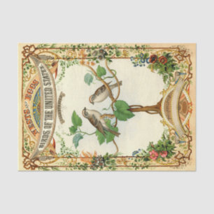 Papel De Seda Ninhos e Ovos Aves dos Estados Unidos