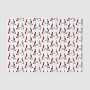 Papel De Seda Norte Cardinal SongBird
