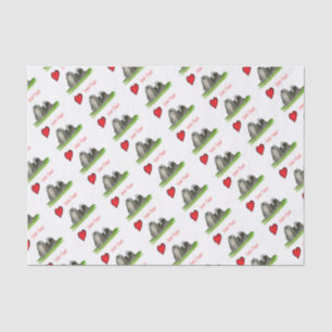 Papel De Seda nós tzus de shih do luv de Tony Fernandes