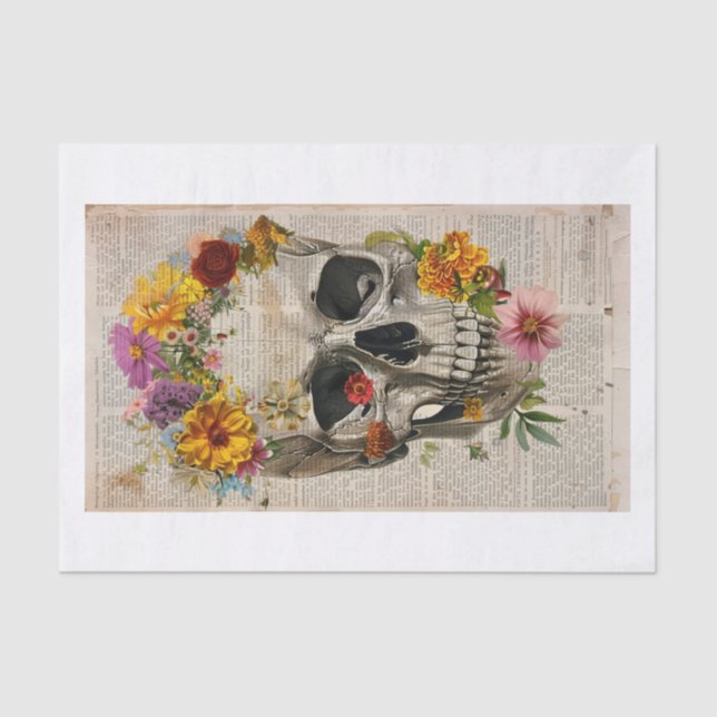 Papel De Seda Notícias do crânio4 (Frente )