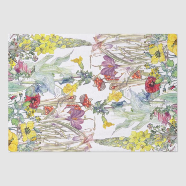 Papel De Seda O Foxglove da íris da papoila do açafrão floresce (Frente )