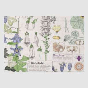 Papel De Seda O Foxglove francês de Nouveau da arte floresce o