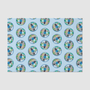 Papel De Seda O Jay de Steller na Floresta