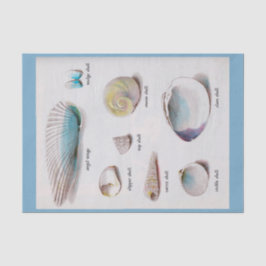 Papel De Seda O mar descasca o Pastel natural 10" X 15" lenço de