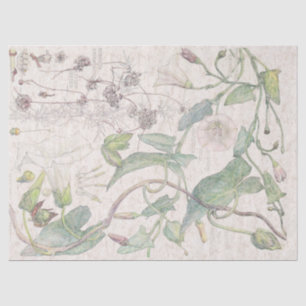 Papel De Seda O Wildflower da corriola floresce o lenço de pape