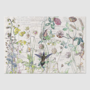 Papel De Seda O Wildflower dos pássaros do colibri floresce o