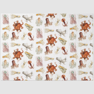 Papel De Seda Octopus Cephaloposo Oceânico