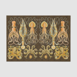 Papel De Seda Octopus de Vintage Cephalopods