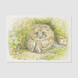 Papel De Seda Old Mr Prickly Pin (Hedgehog) (por Beatrix Potter)