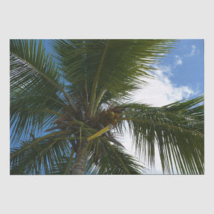Papel De Seda Olhando para a natureza tropical da árvore de pal