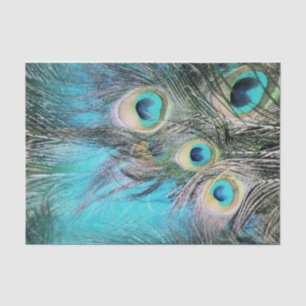 Papel De Seda Olhos azuis