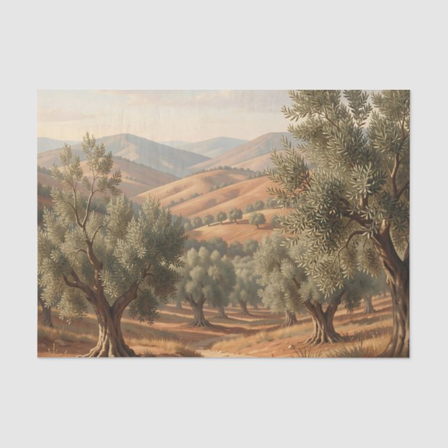 Papel De Seda Oliveiras Colinas Onduladas Campo Toscano  (Frente )