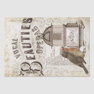 Papel De Seda Ópera Música Robin Bird Birdcage Decoupage
